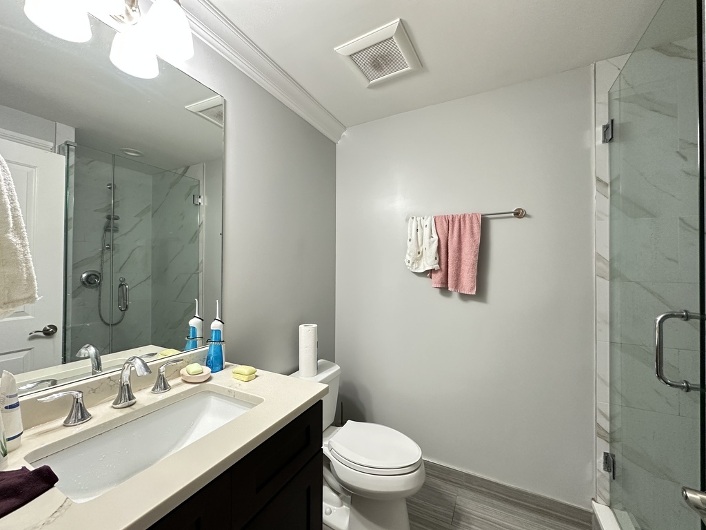 3336 West Irving Park Road, Unit 1 Chicago, IL 60618 - Photo 19 of 20 a bathroom with a sink a toilet a mirror and shower