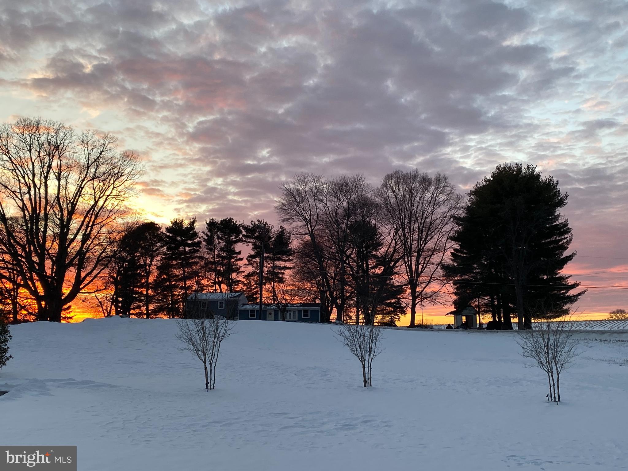 3723 Big Woods Road Ijamsville, MD 21754 - Photo 18 of 36 a view of a yard