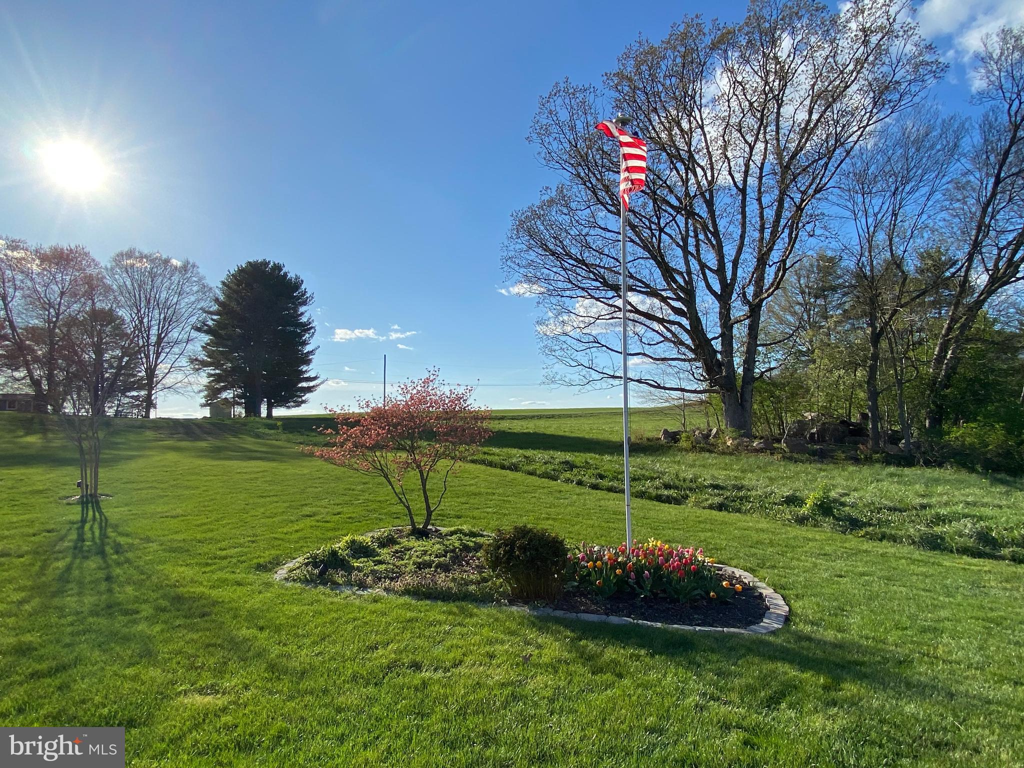 3723 Big Woods Road Ijamsville, MD 21754 - Photo 31 of 36 a garden view with a fountain