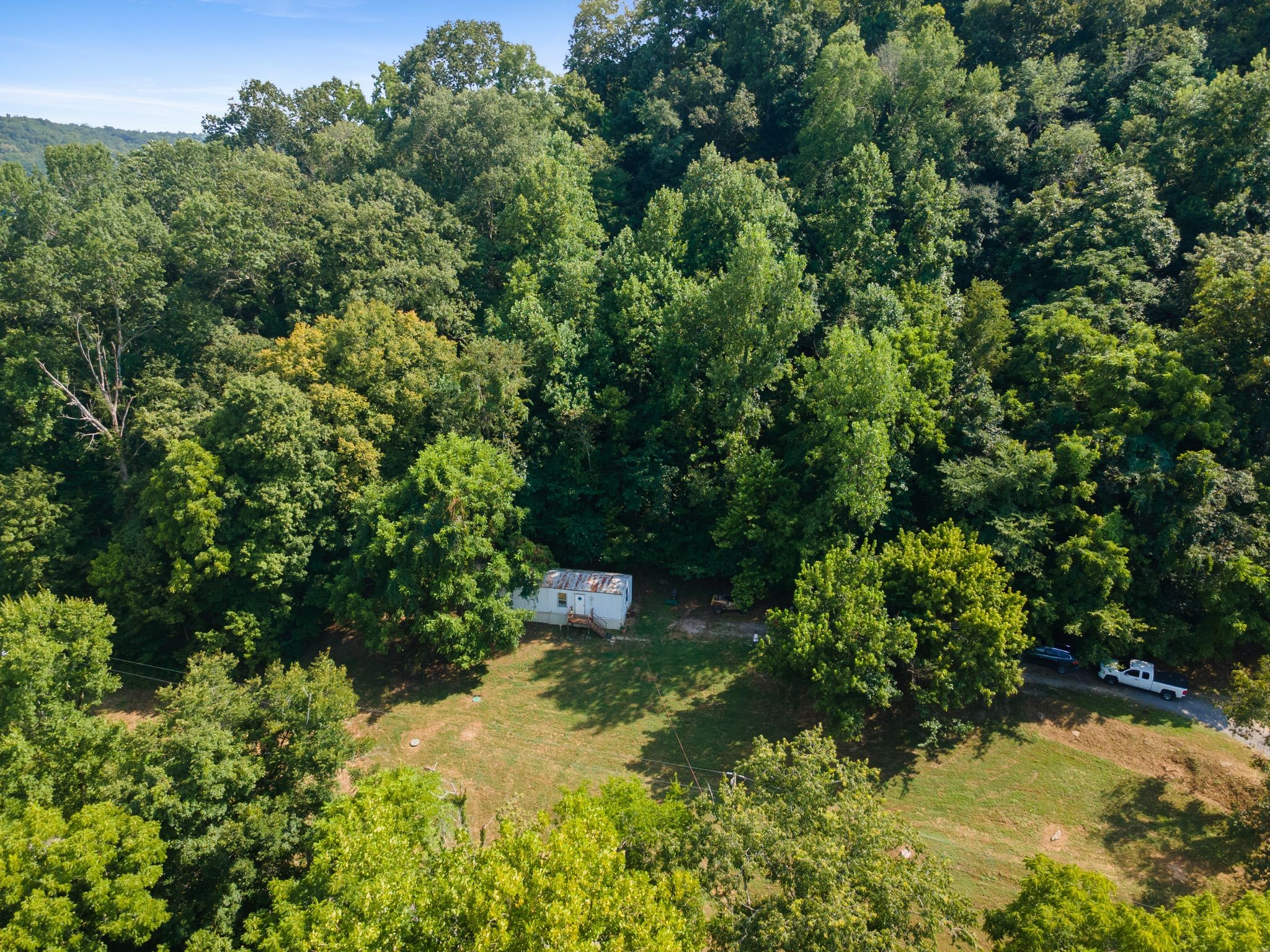 2417 Esque Sharp Road Mount Pleasant, TN 38474 - Photo 15 of 21 a view of a garden with plants