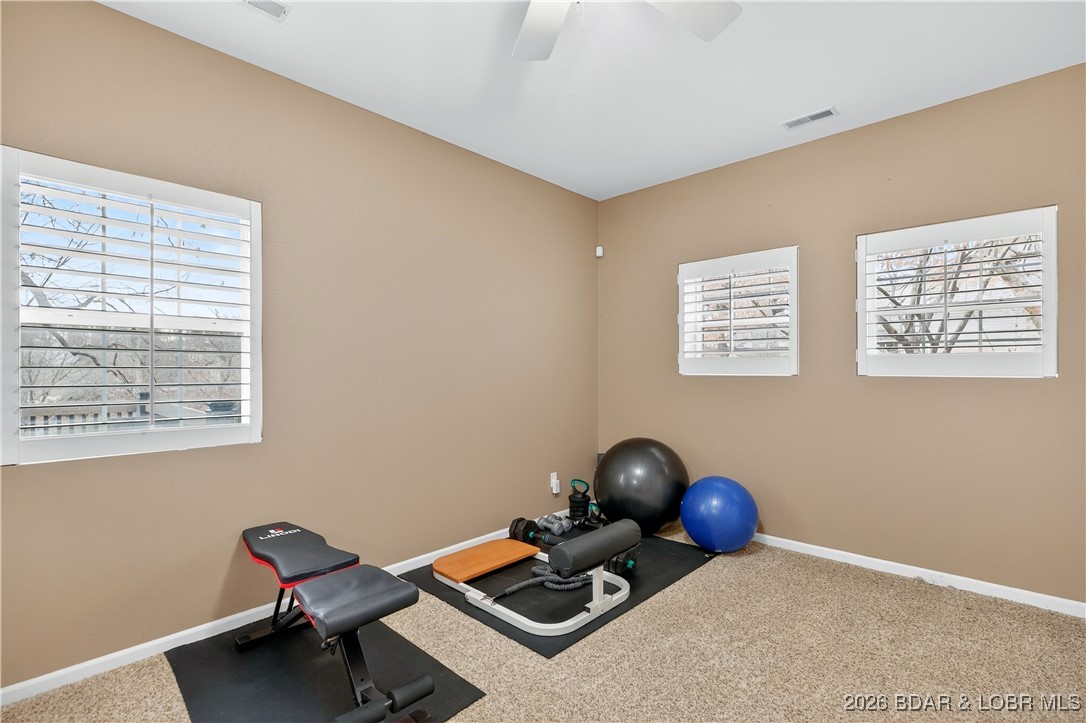 114 Watkins Road Camdenton, MO 65020 - Photo 28 of 45 Lower Level Living Space