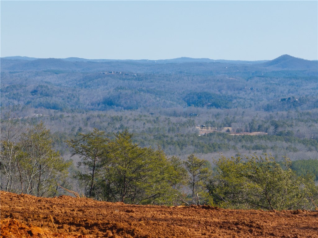 Lot N-16 Jocassee Ridge Way Salem, SC 29676 - Photo 9 of 29