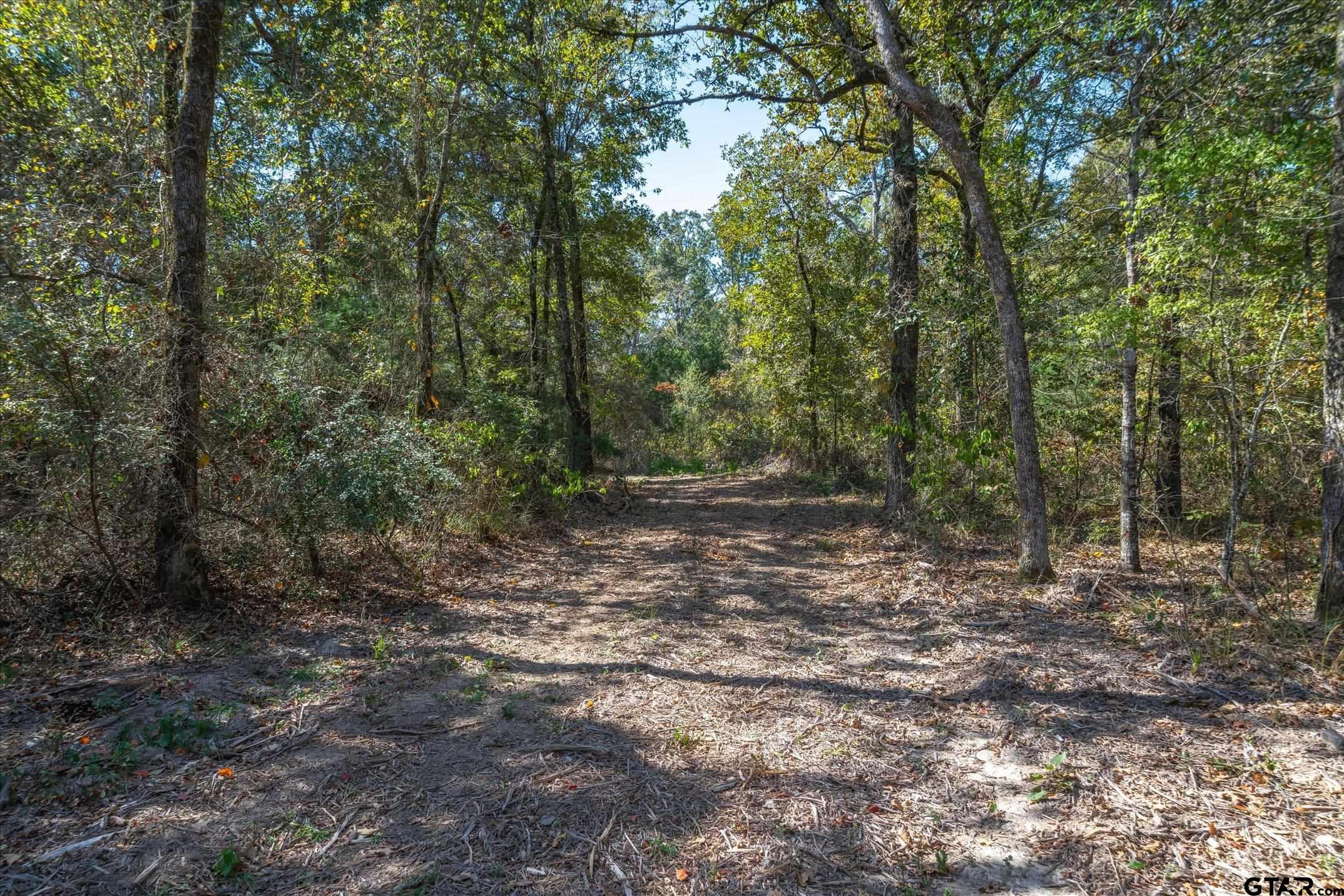 1 Fm 279 Ben Wheeler, TX 75754 - Photo 11 of 17