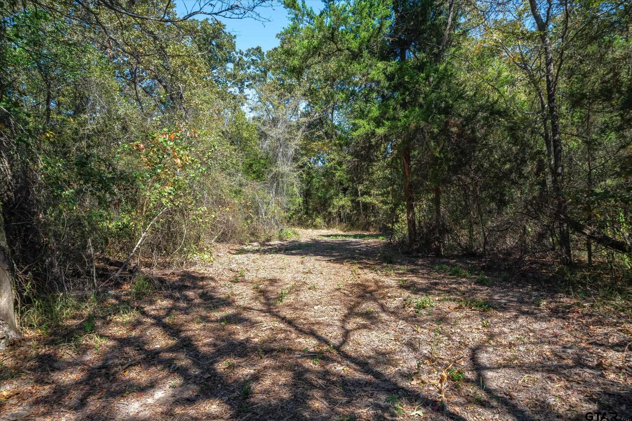 1 Fm 279 Ben Wheeler, TX 75754 - Photo 12 of 17