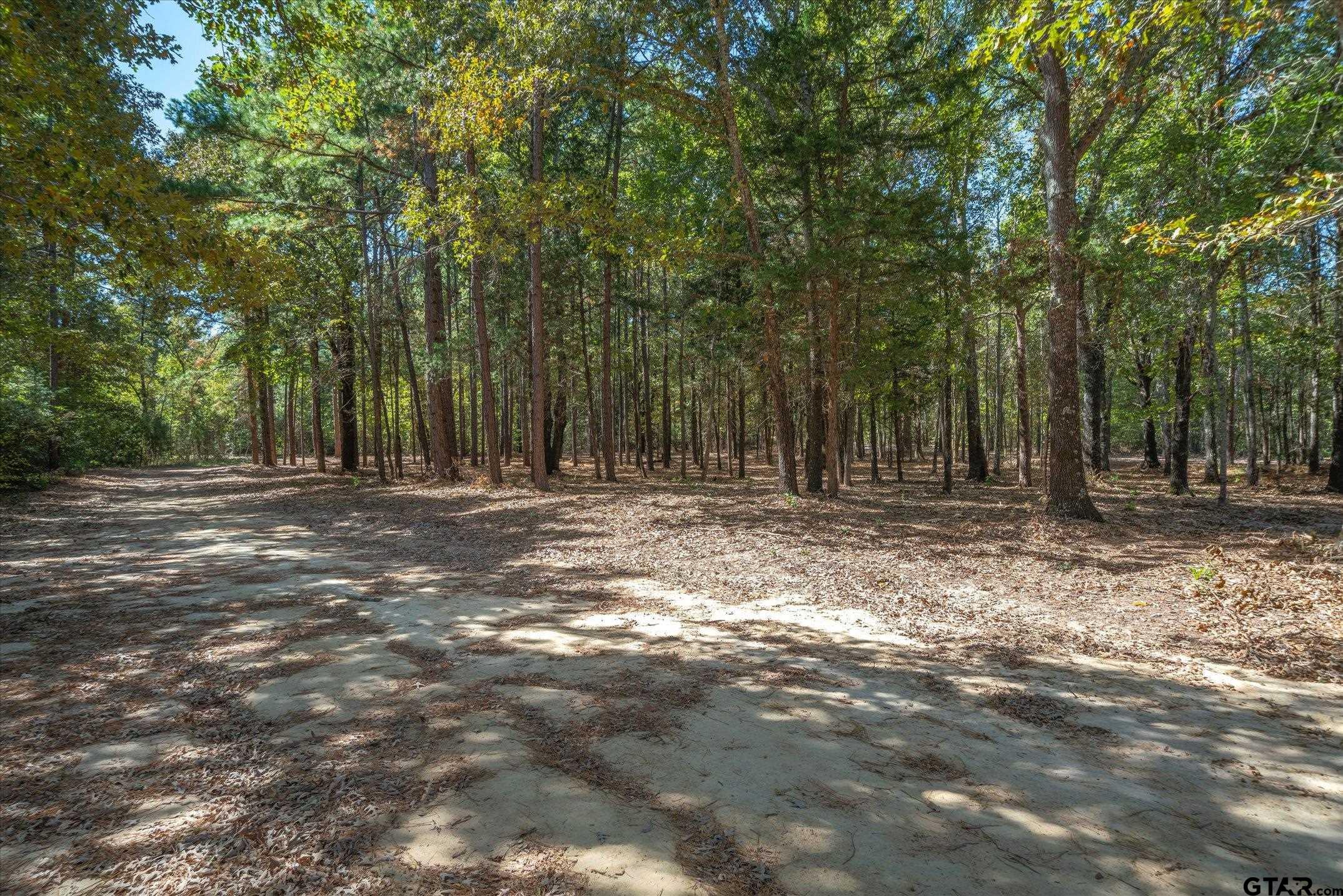 1 Fm 279 Ben Wheeler, TX 75754 - Photo 13 of 17