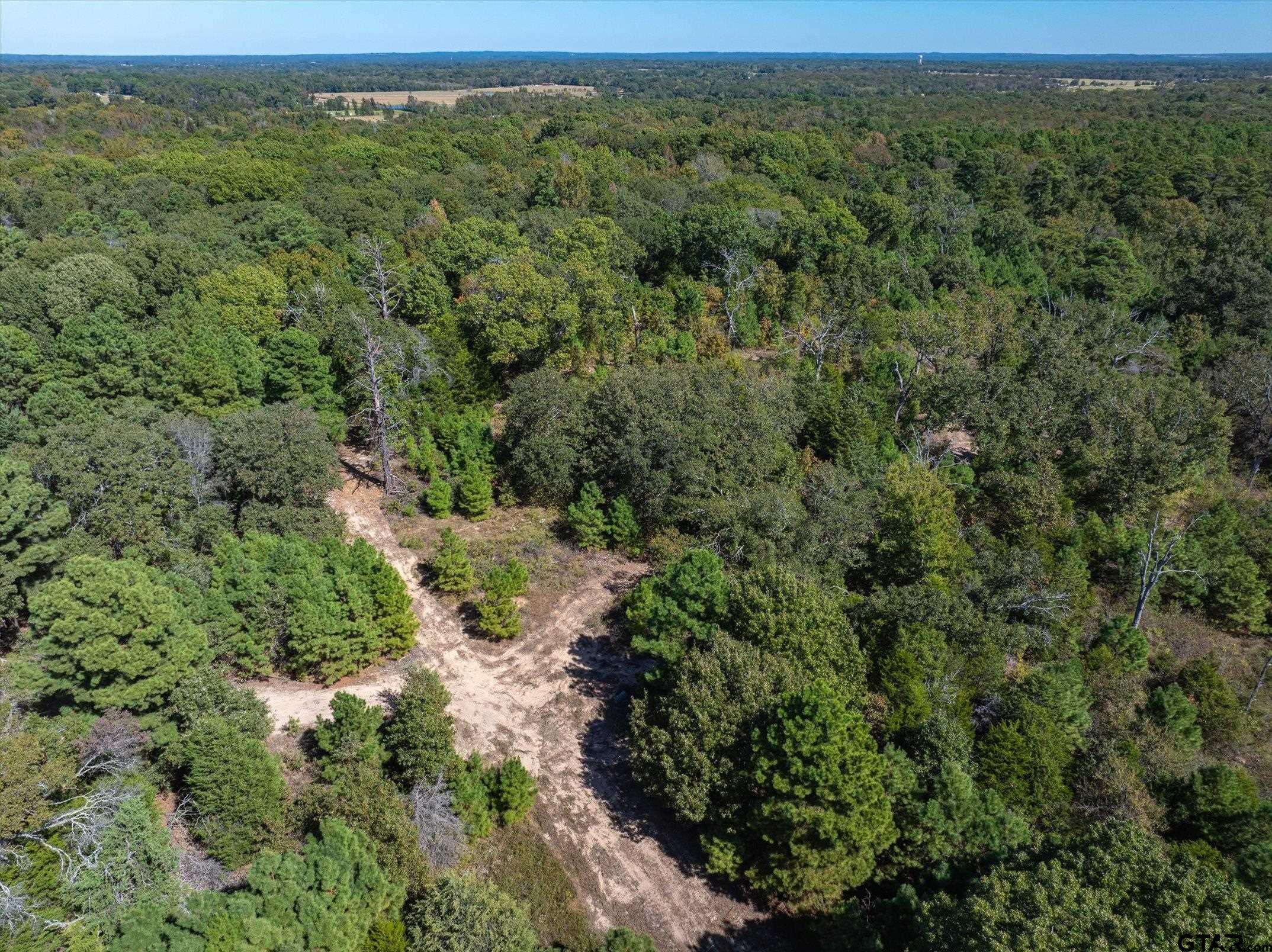 1 Fm 279 Ben Wheeler, TX 75754 - Photo 5 of 17