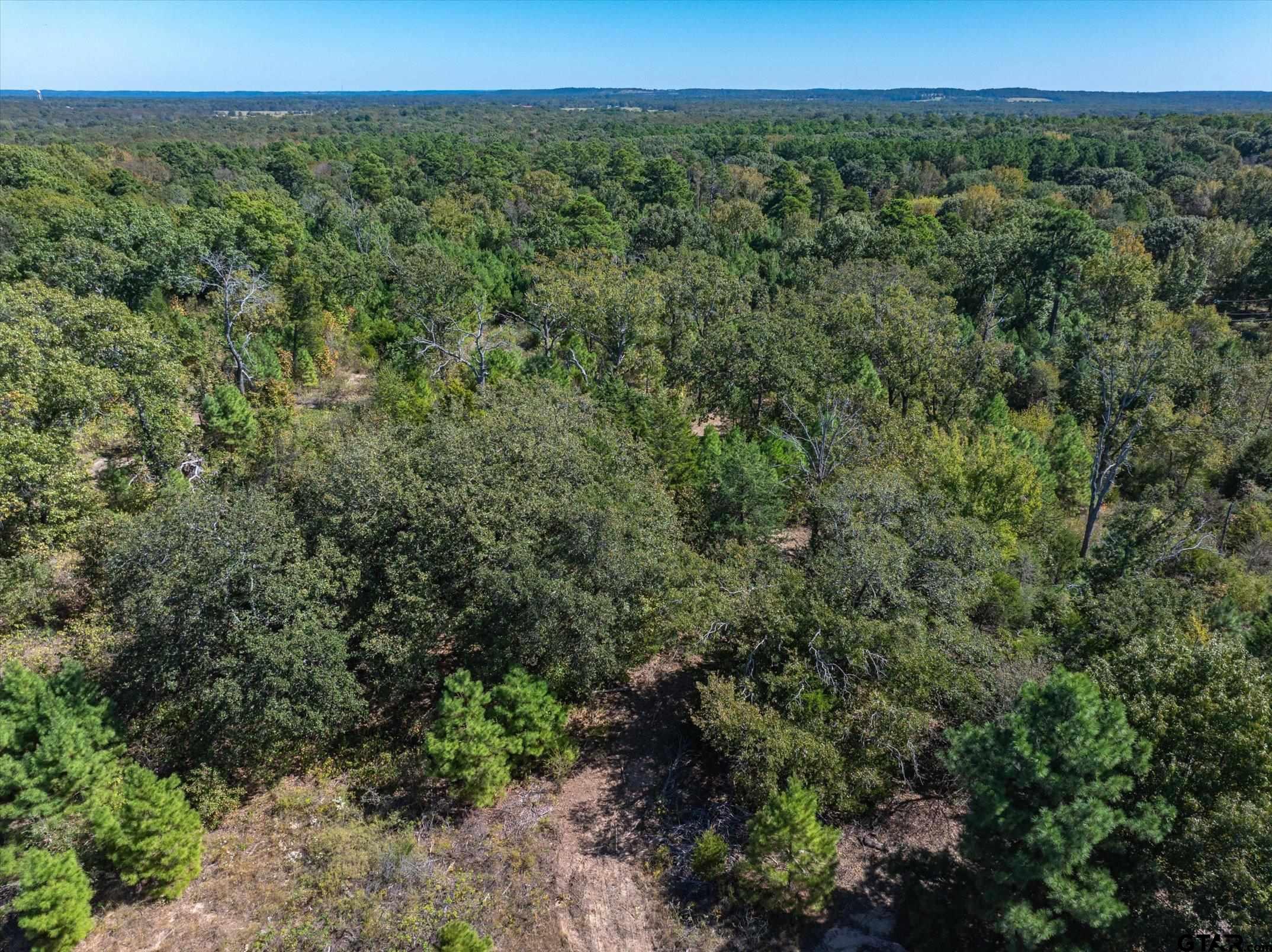 1 Fm 279 Ben Wheeler, TX 75754 - Photo 6 of 17