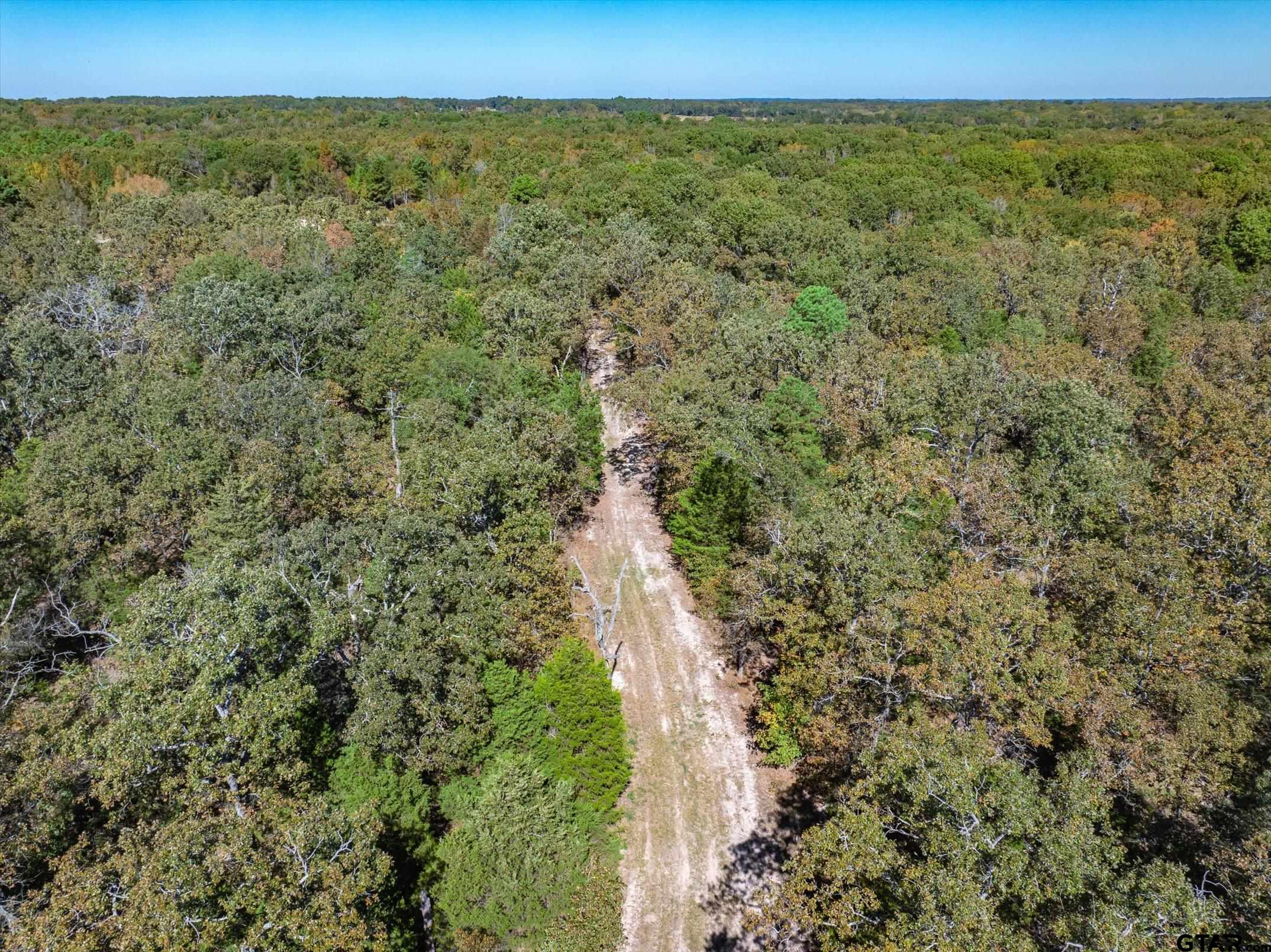 1 Fm 279 Ben Wheeler, TX 75754 - Photo 9 of 17