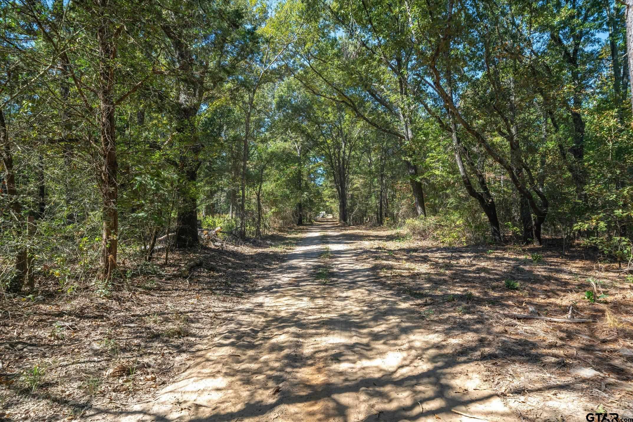 1 Fm 279 Ben Wheeler, TX 75754 - Photo 10 of 17