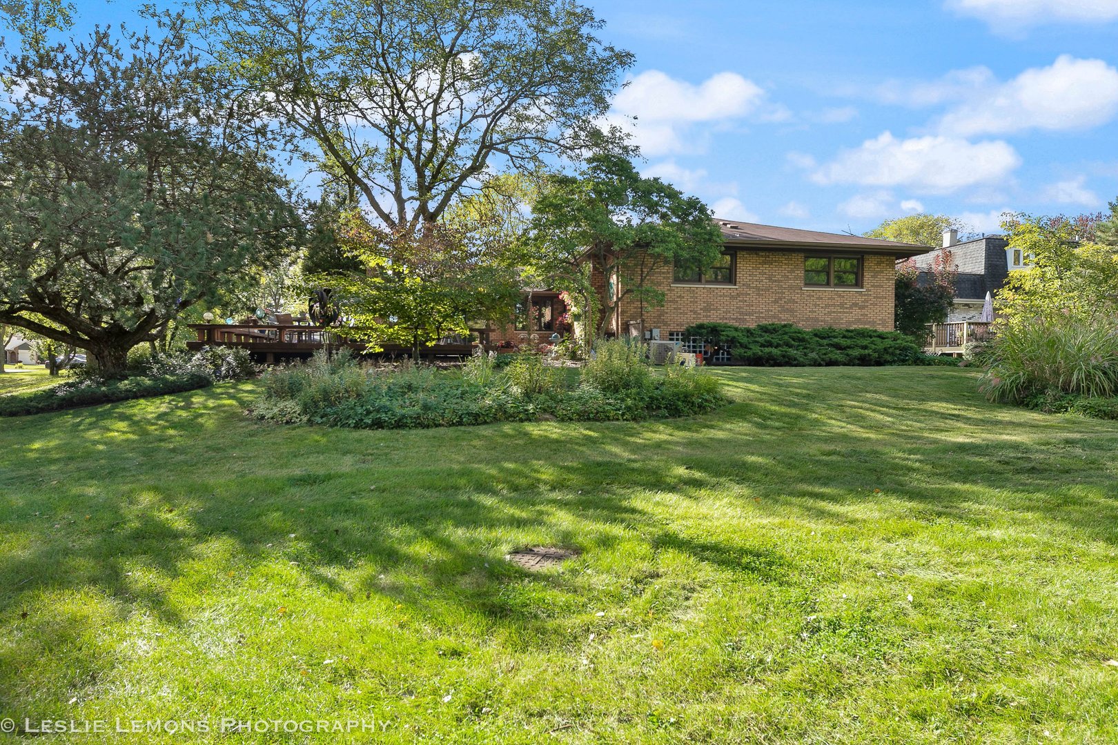3192 Beller Drive Darien, IL 60561 - Photo 41 of 50 a view of a backyard with plants and large trees