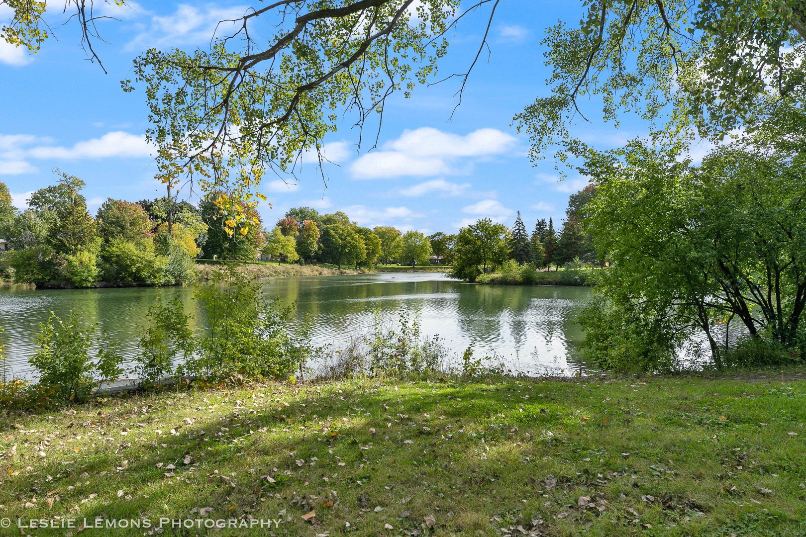 3192 Beller Drive Darien, IL 60561 - Photo 43 of 50 a view of a lake with a yard and large trees