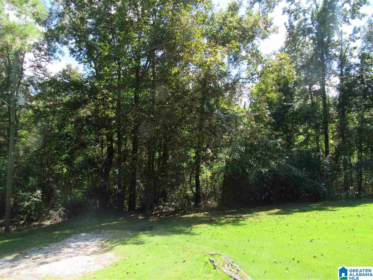 198 Ash Road Brierfield, AL 35035 - Photo 4 of 40