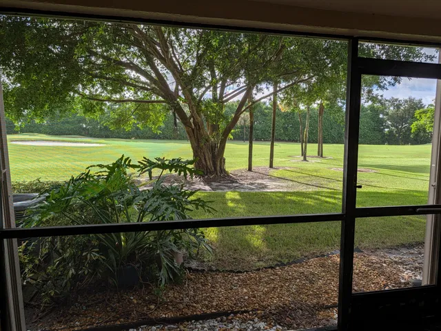 a view of a yard with a large trees