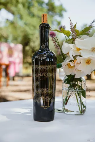 an aerial view of residential houses with outdoor space and ocean