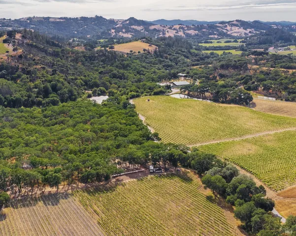 a view of a street with large trees