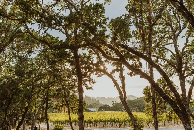 a view of a table and chairs in the patio