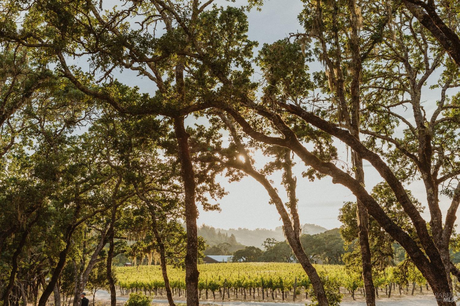 13414 Chalk Hill Road Healdsburg, CA 95448 - Photo 13 of 99