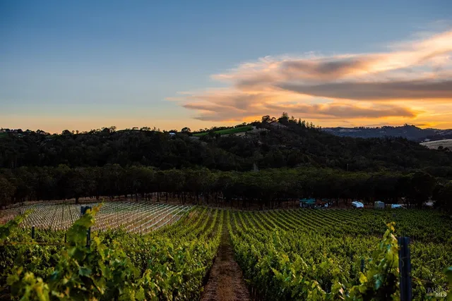 a backyard of a house with table and chairs under an umbrella