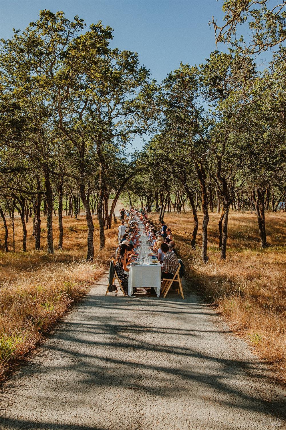 13414 Chalk Hill Road Healdsburg, CA 95448 - Photo 4 of 99