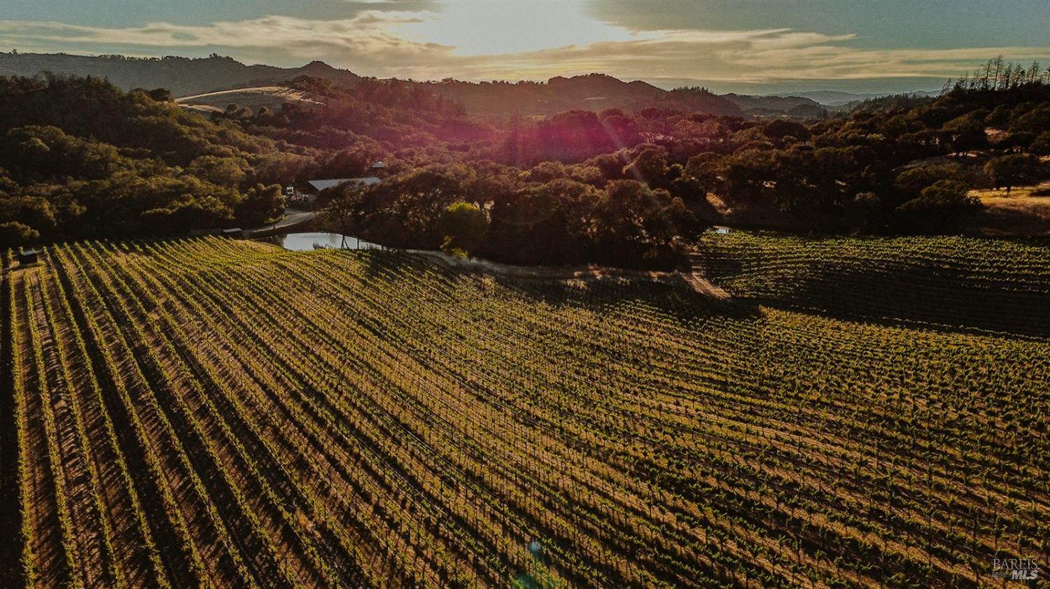 13414 Chalk Hill Road Healdsburg, CA 95448 - Photo 5 of 99