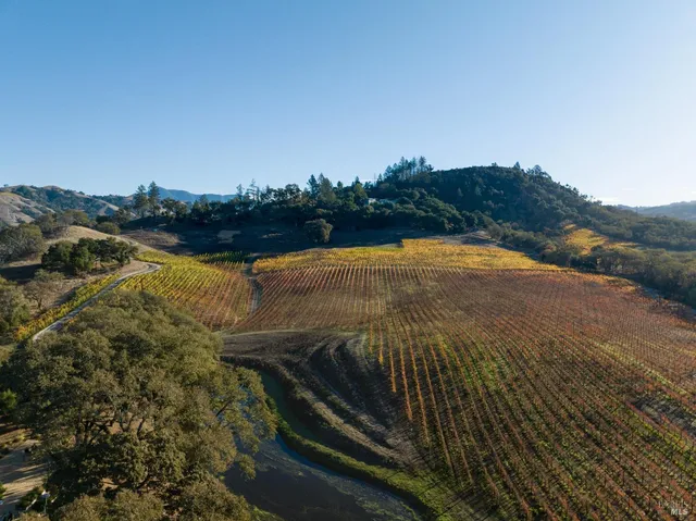 a view of livingroom with furniture and floor to ceiling window