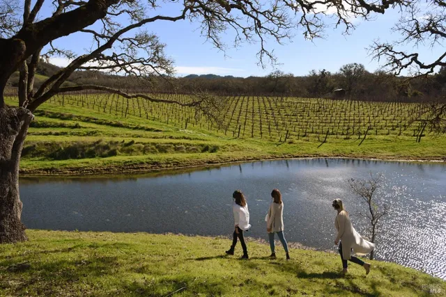 a view of an outdoor space with furniture and umbrella