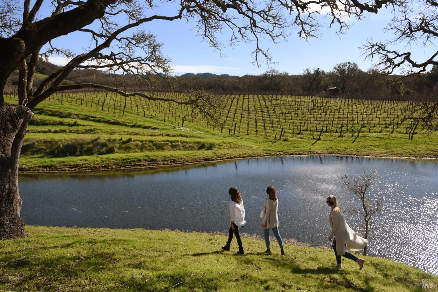 13414 Chalk Hill Road Healdsburg, CA 95448 - Photo 9 of 99