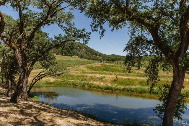 a view of a lake with a forest