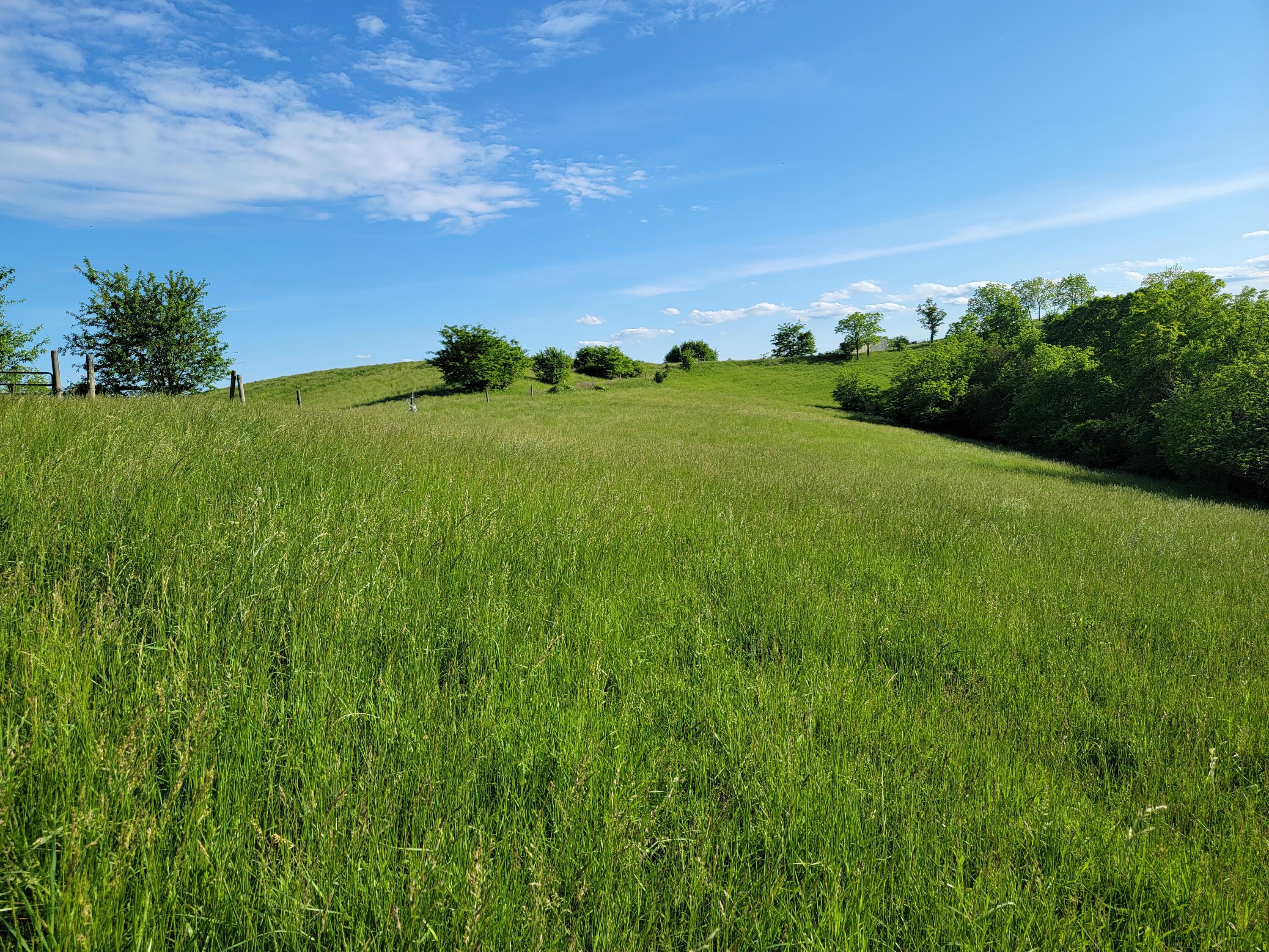 119-acres Keefer Road Corinth, KY 41010 - Photo 6 of 44 Gallery Image 6