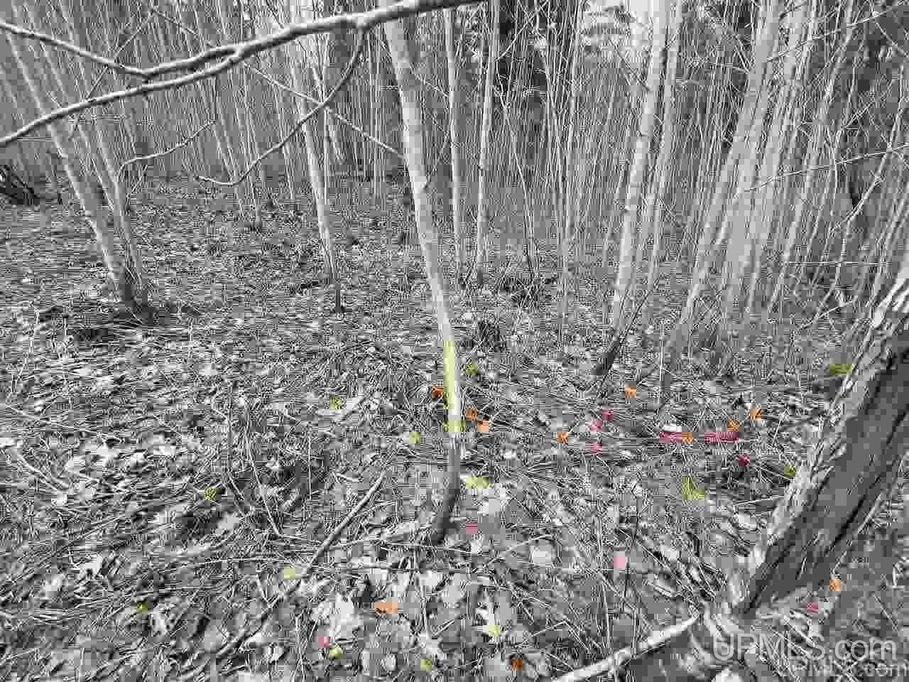 Tbd Plains Cutoff Road Baraga, MI 49908 - Photo 26 of 49