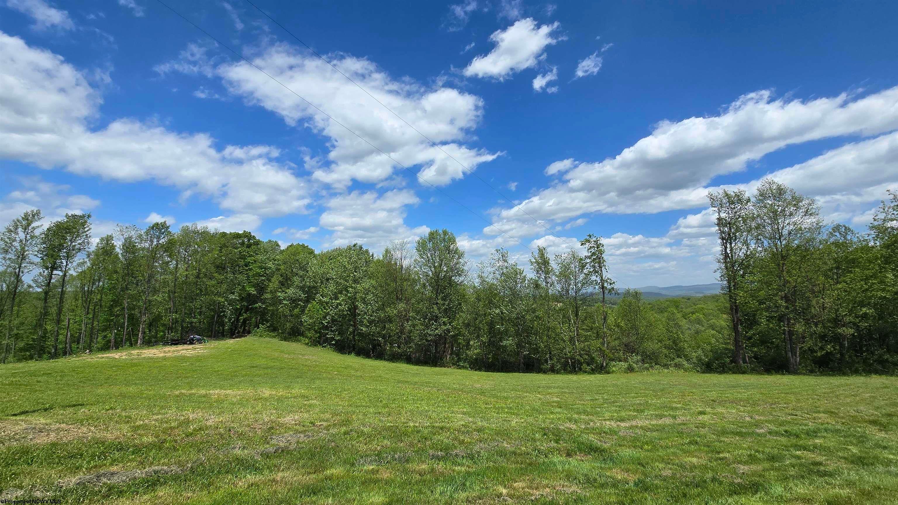 667 Midway Road Belington, WV 26250 - Photo 10 of 23 Gallery Image 10