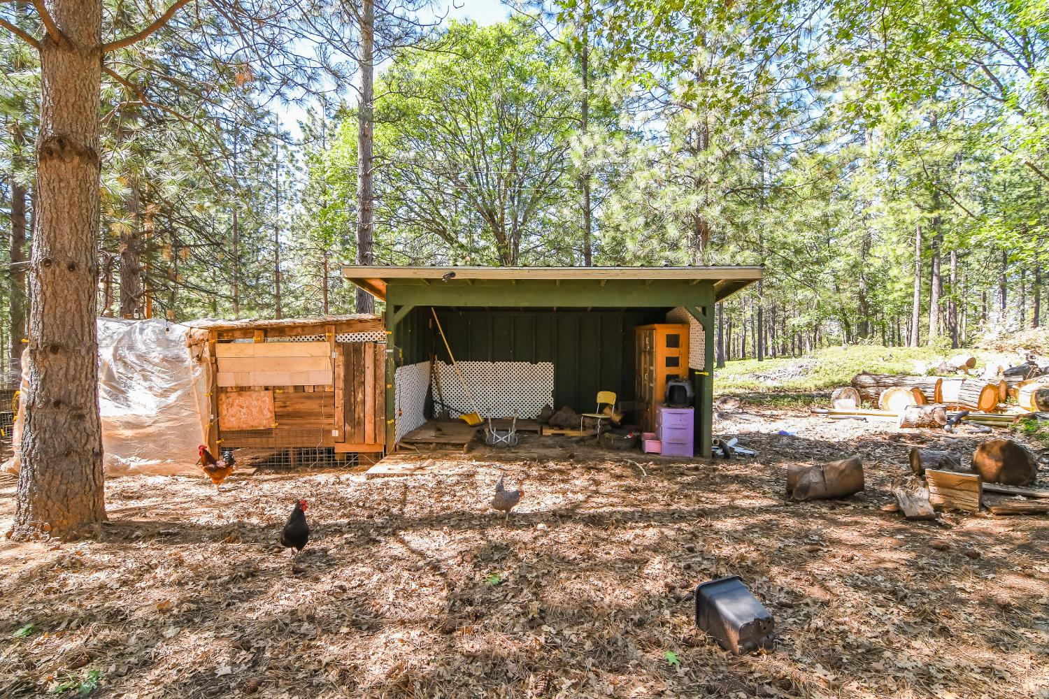 2399 Camp Flores Road West Point, CA 95255 - Photo 56 of 81