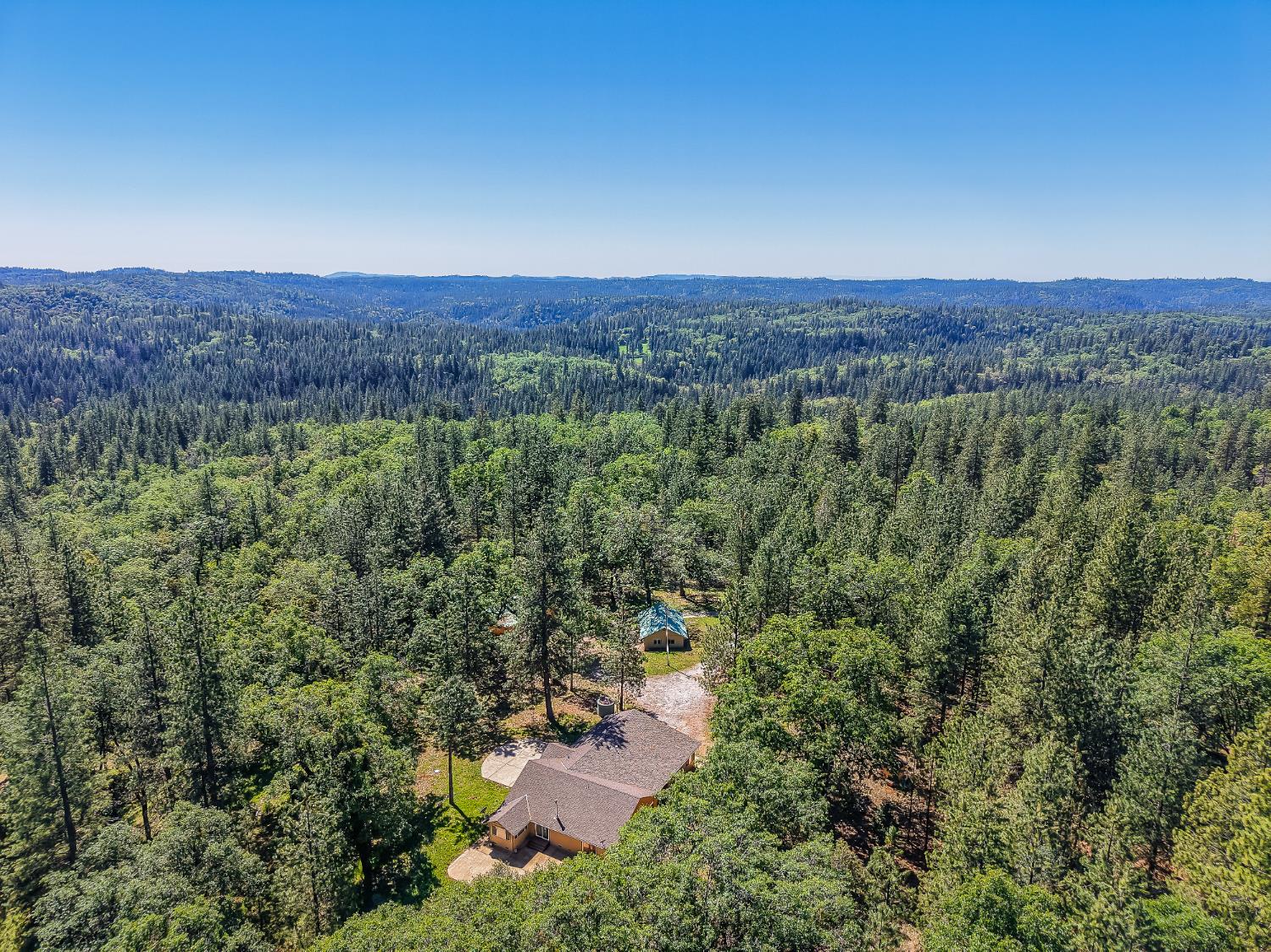 2399 Camp Flores Road West Point, CA 95255 - Photo 64 of 81