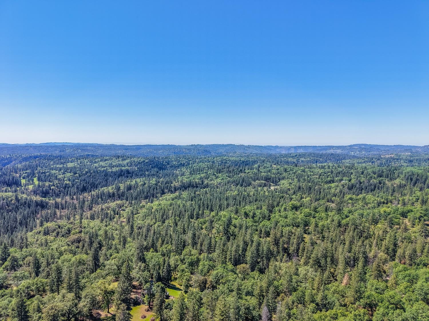 2399 Camp Flores Road West Point, CA 95255 - Photo 71 of 81