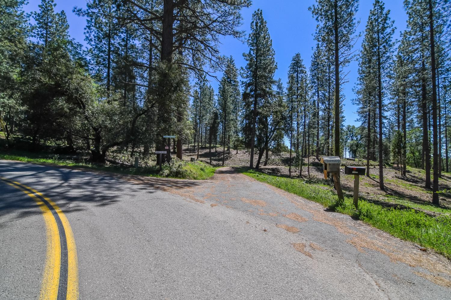 2399 Camp Flores Road West Point, CA 95255 - Photo 78 of 81