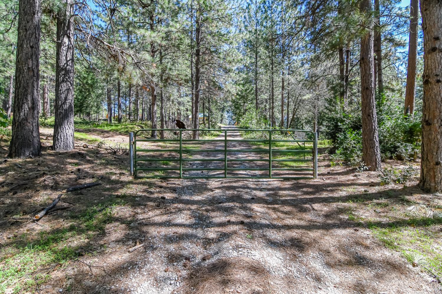 2399 Camp Flores Road West Point, CA 95255 - Photo 80 of 81