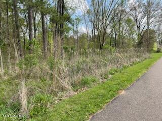 0 Reynolds Road Clinton, MS 39056 - Photo 2 of 5 IMG_1634