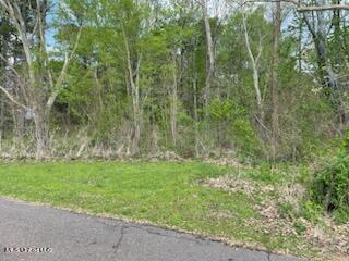 0 Reynolds Road Clinton, MS 39056 - Photo 3 of 5 IMG_1632