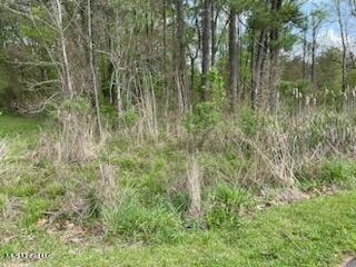 0 Reynolds Road Clinton, MS 39056 - Photo 4 of 5 IMG_1633
