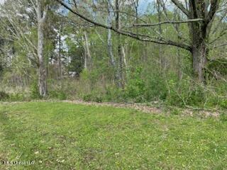 0 Reynolds Road Clinton, MS 39056 - Photo 5 of 5 IMG_1629