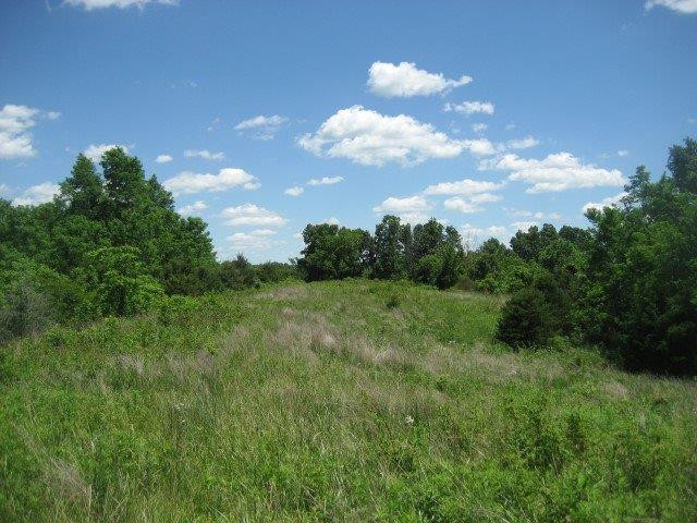 1234 Rutherford School Road Lawrenceburg, KY 40342 - Photo 7 of 12 Photo 7