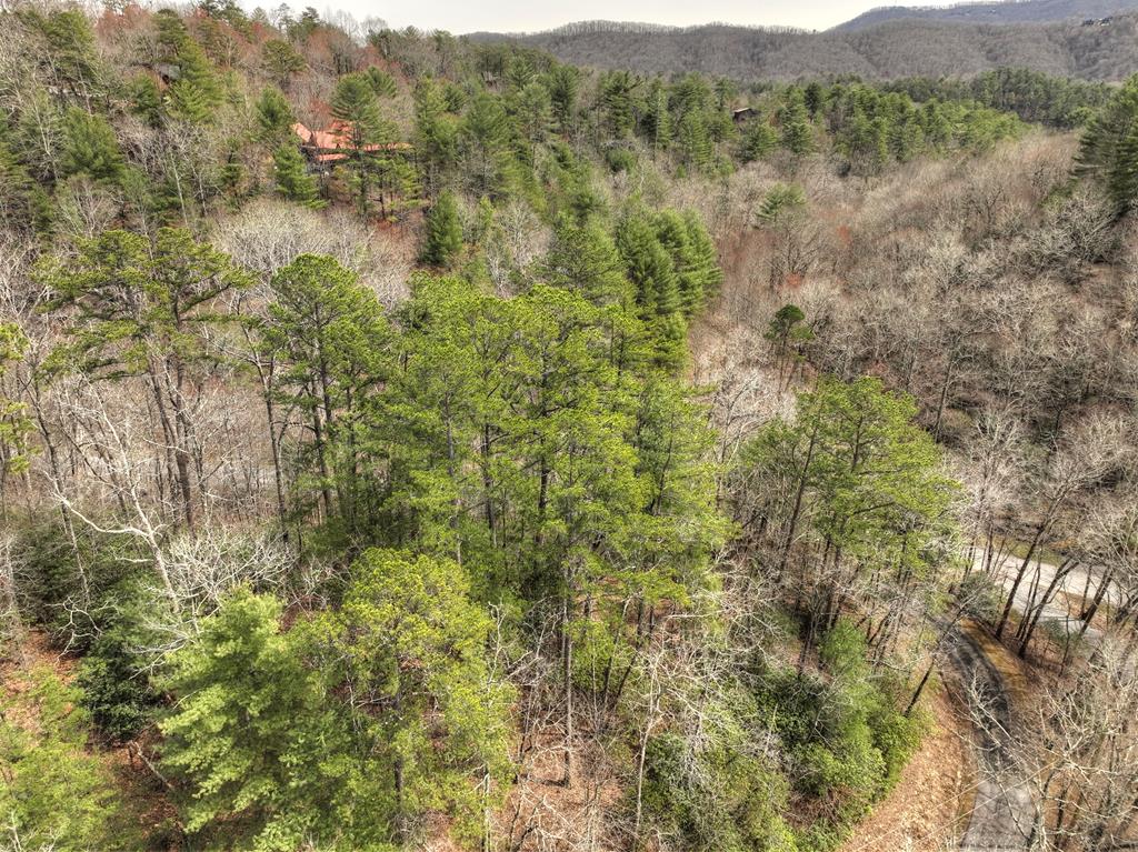 308 Lakota Trail Blue Ridge, GA 30513 - Photo 1 of 10 Main View