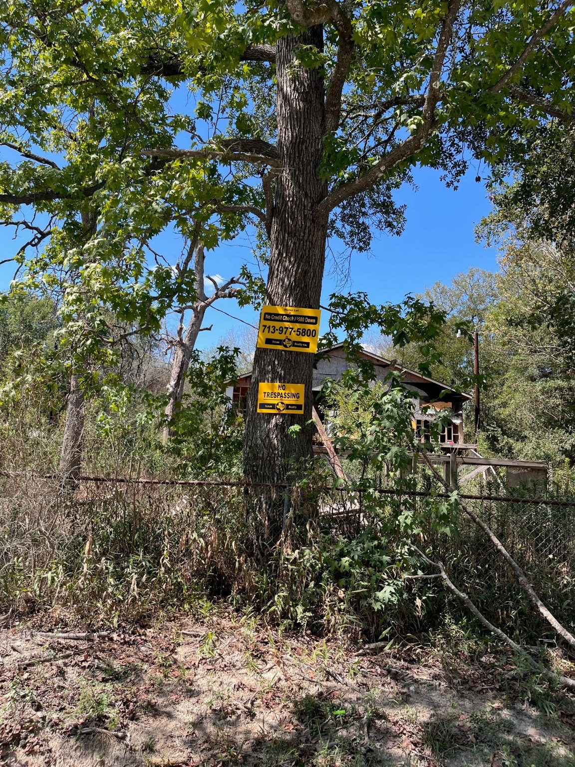166 Plantation Road Trinity, TX 75862 - Photo 2 of 6 a picture of trees