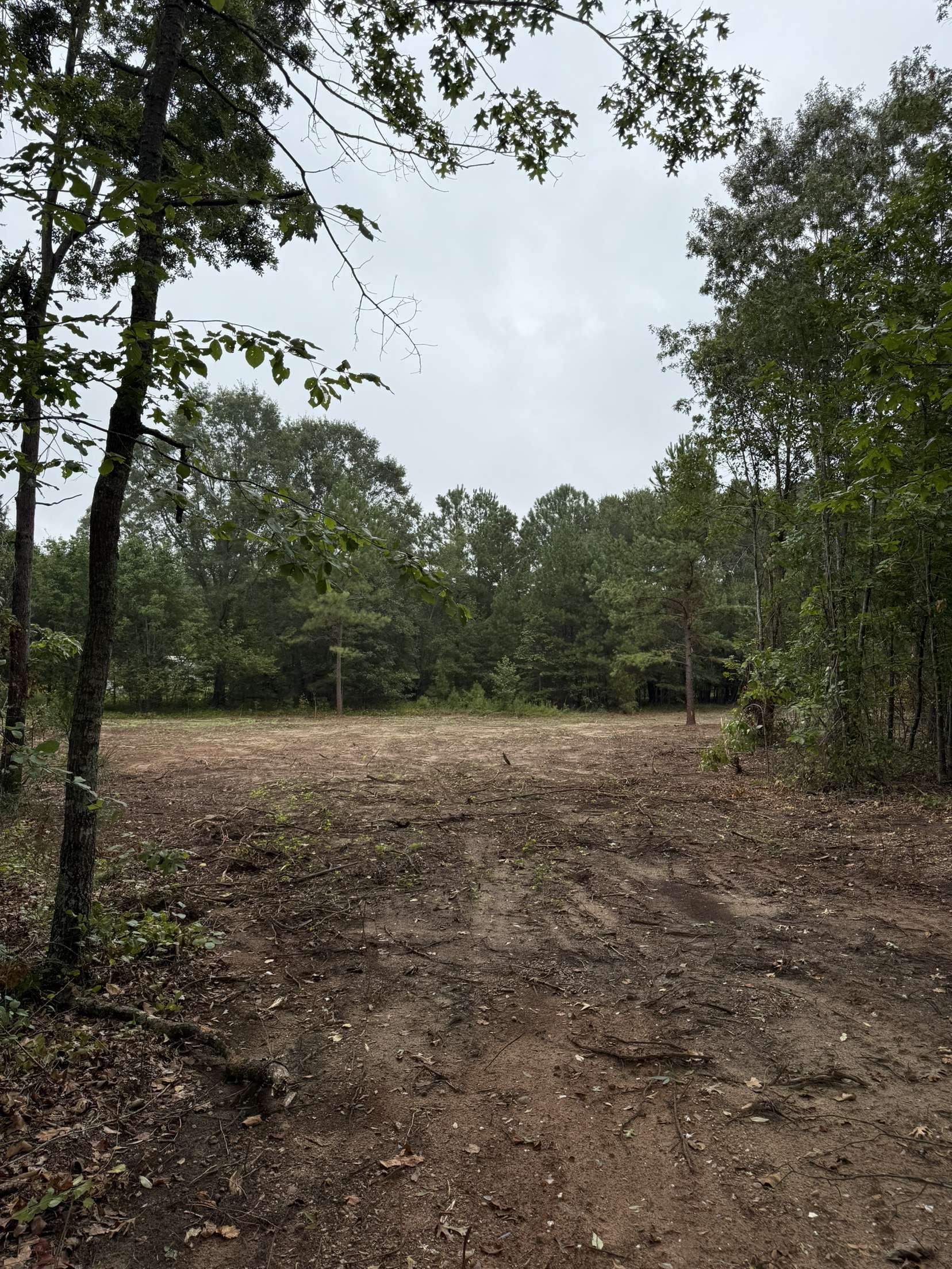 229 Holly Road Chesnee, SC 29323 - Photo 5 of 6