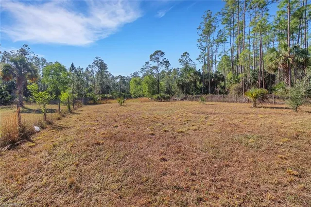 a backyard of a house with large trees