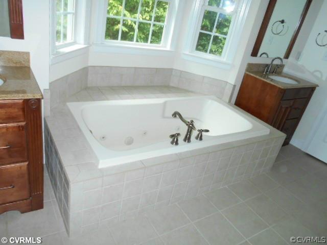 23710 Skinquarter Road Moseley, VA 23120 - Photo 9 of 16 Master Bath/Spa