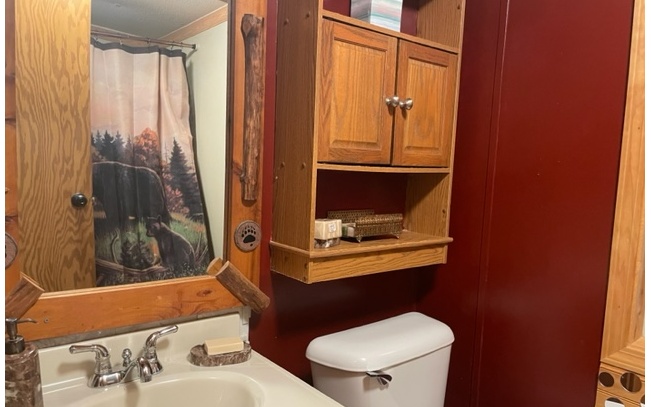 30 Sapphire Ridge Murphy, NC 28906 - Photo 8 of 26 a bathroom with a toilet a sink and mirror