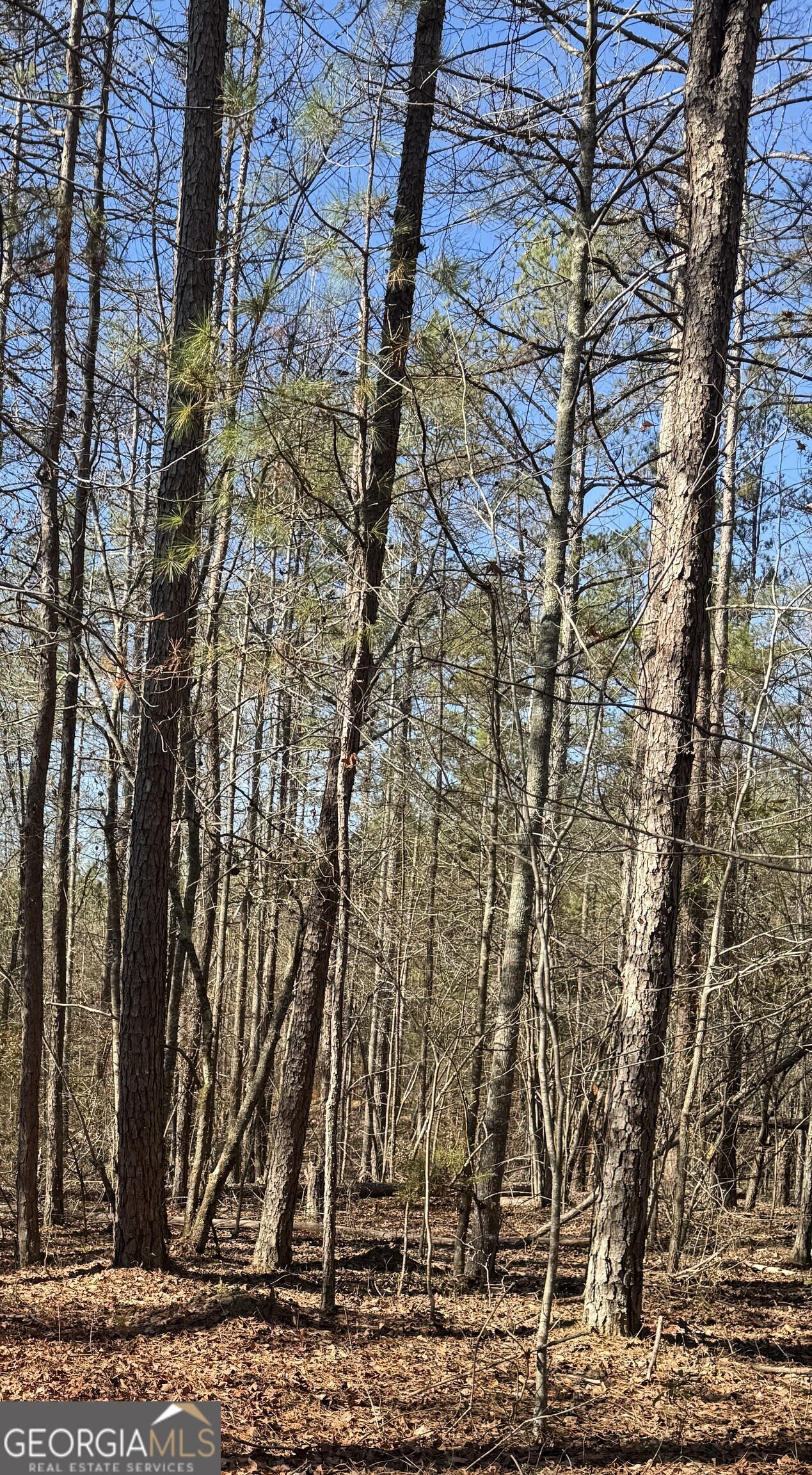0 Arrowhead Drive Delta, AL 36258 - Photo 11 of 14