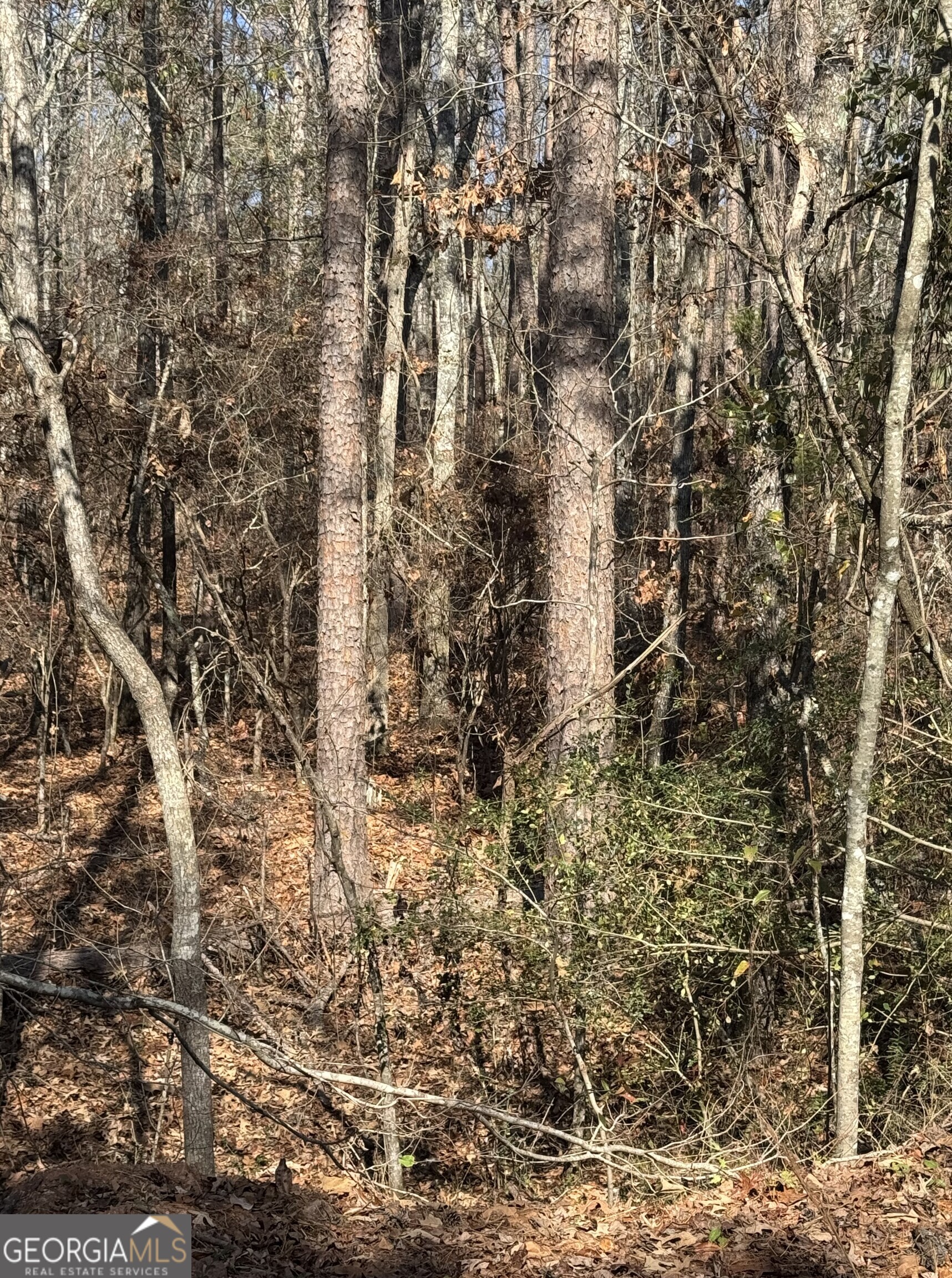 0 Arrowhead Drive Delta, AL 36258 - Photo 4 of 14