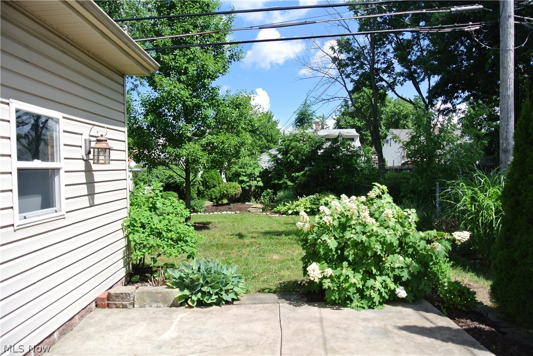 13519 Thraves Road Cleveland, OH 44125 - Photo 22 of 30 Deep, 170 foot lot